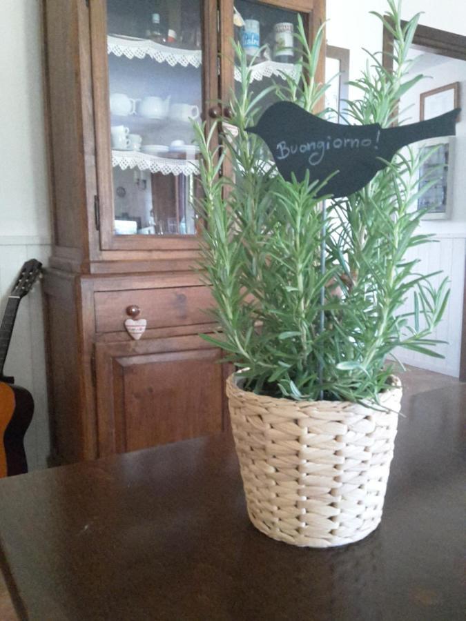 Agriturismo Cioccoleta Orvieto Buitenkant foto