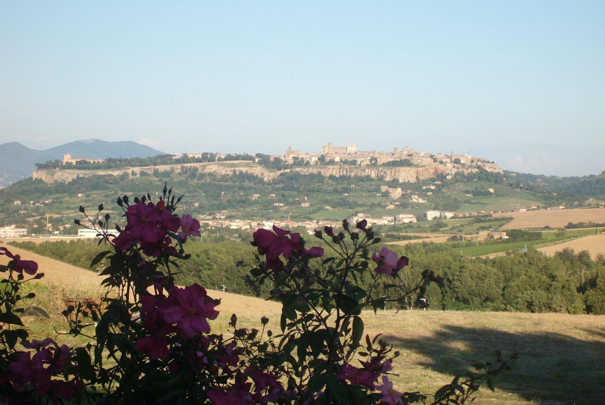 Agriturismo Cioccoleta Orvieto Buitenkant foto