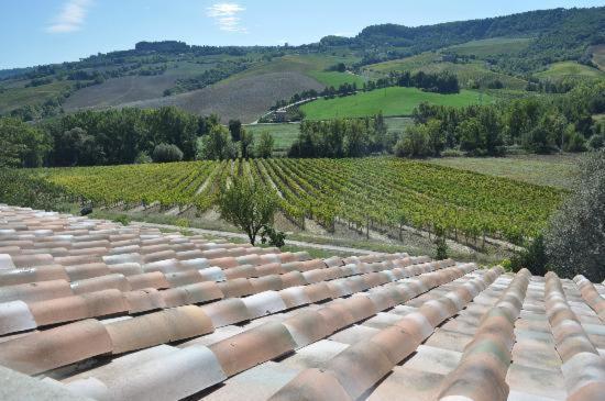 Agriturismo Cioccoleta Orvieto Buitenkant foto